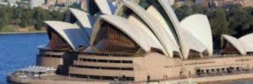 Violi Calvert banner