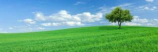 lucadd1973's profile banner image