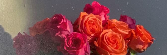 SV_xo's profile banner image