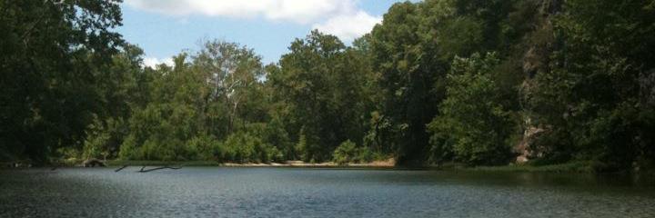 JudyFortner1's profile banner image