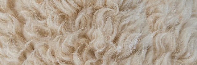 Lo_Alyssa_'s profile banner image