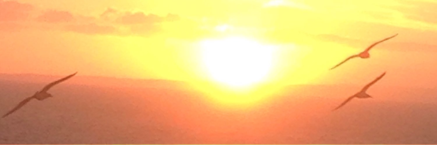 Manda9604's profile banner image