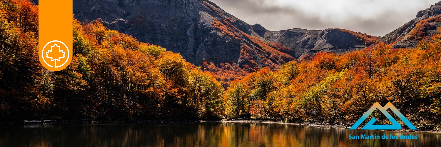 Municipio SMA banner