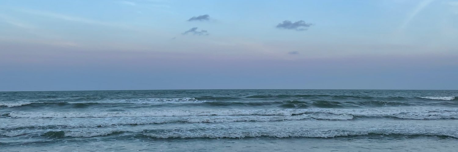 naddzekry's profile banner image