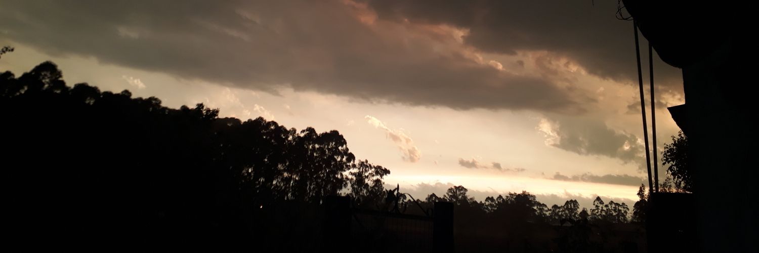 PaoRigoni's profile banner image