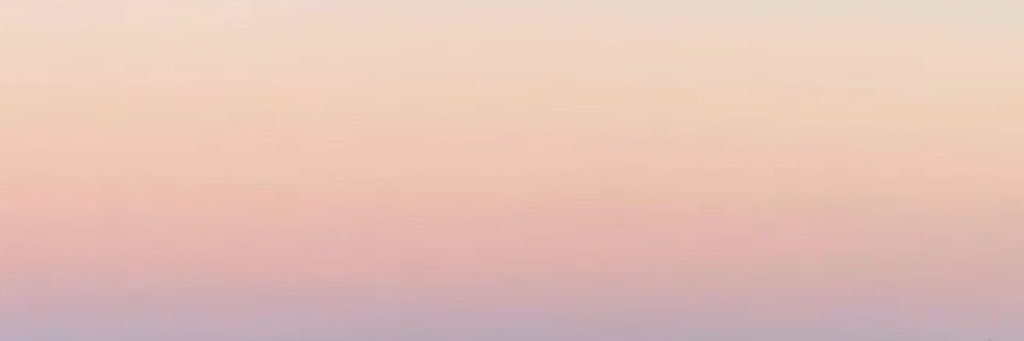 NJSFQ's profile banner image