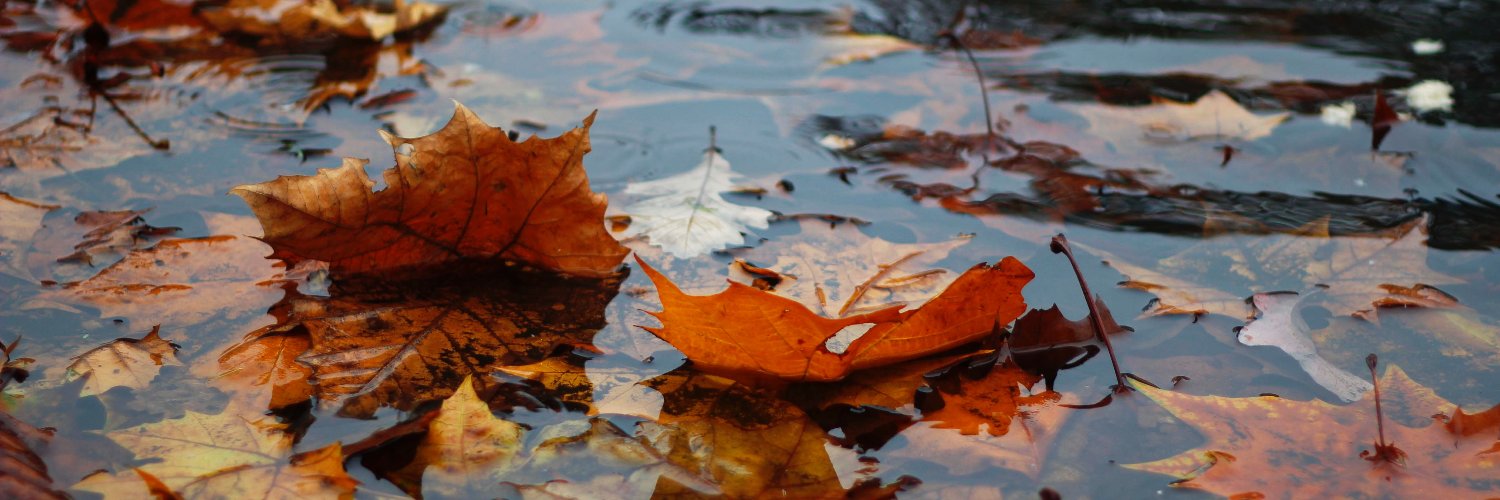 hhdelfland's profile banner image