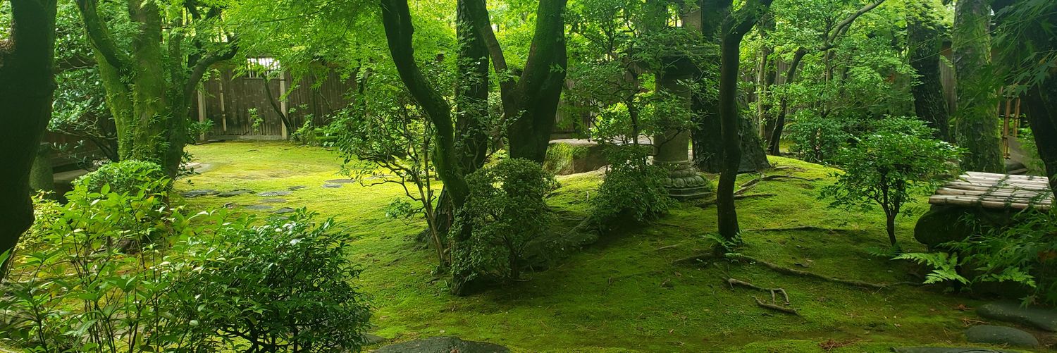 mom_st's profile banner image