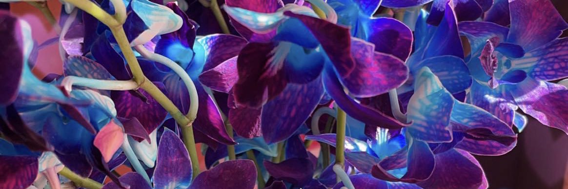 LexieeSJ's profile banner image