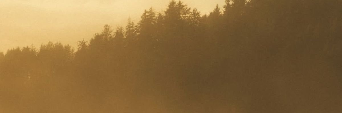 ______mwl's profile banner image