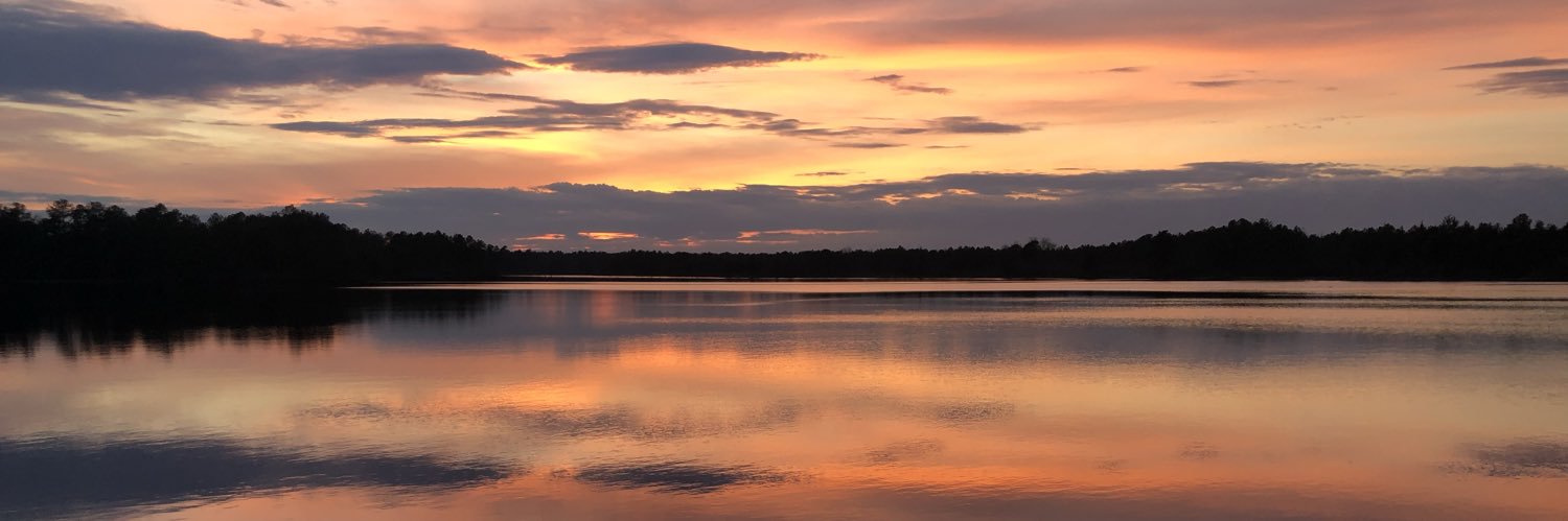 alexa tatiana banner