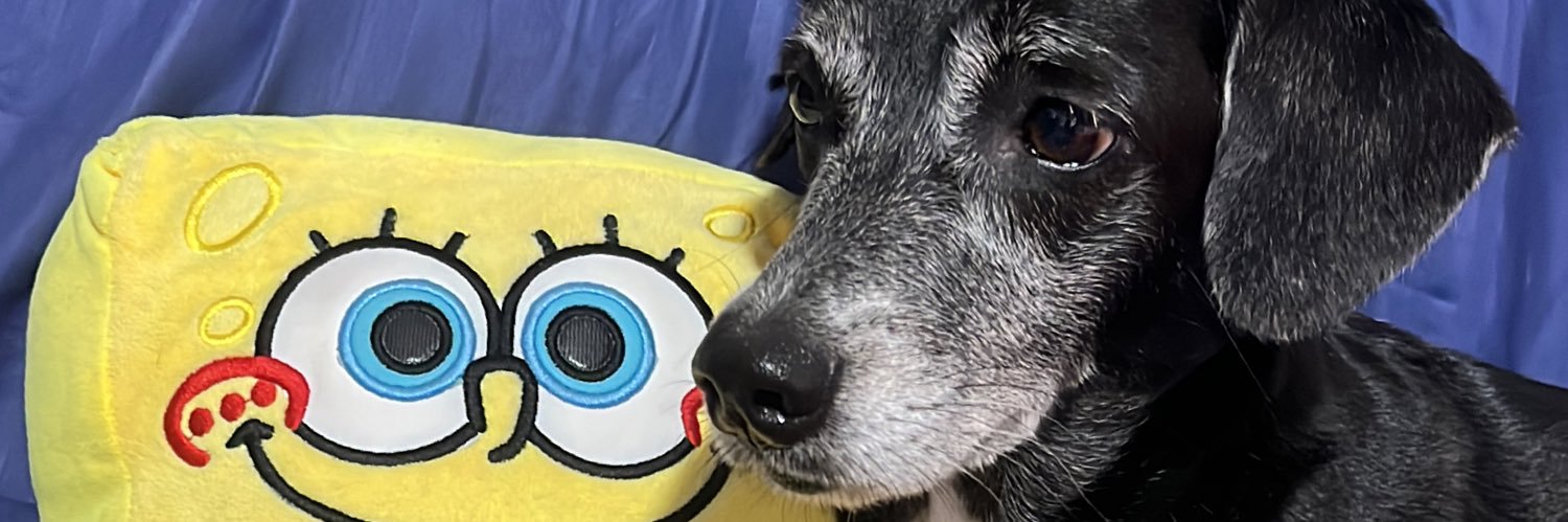 CarlosM1804's profile banner image