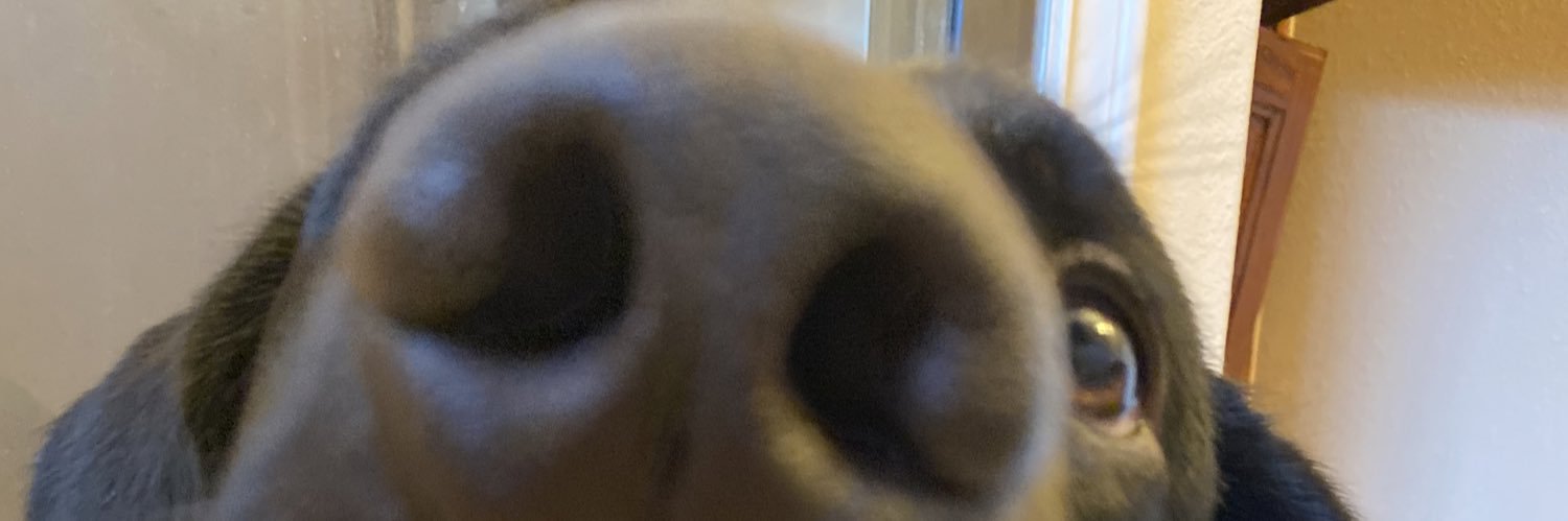 amaniqueleon's profile banner image