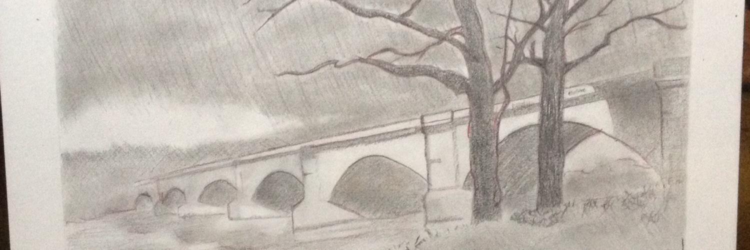 ferocious_snail's profile banner image