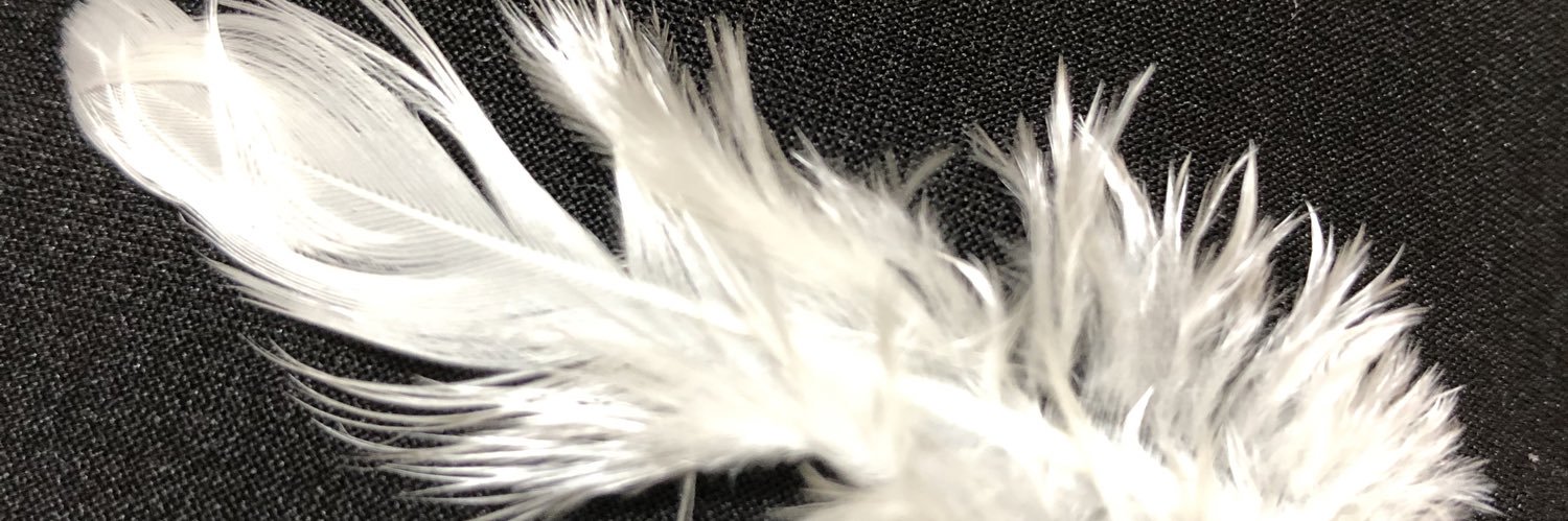 sam3wol4's profile banner image