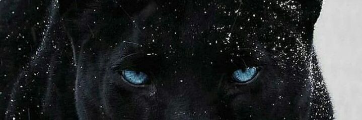 frhturun's profile banner image