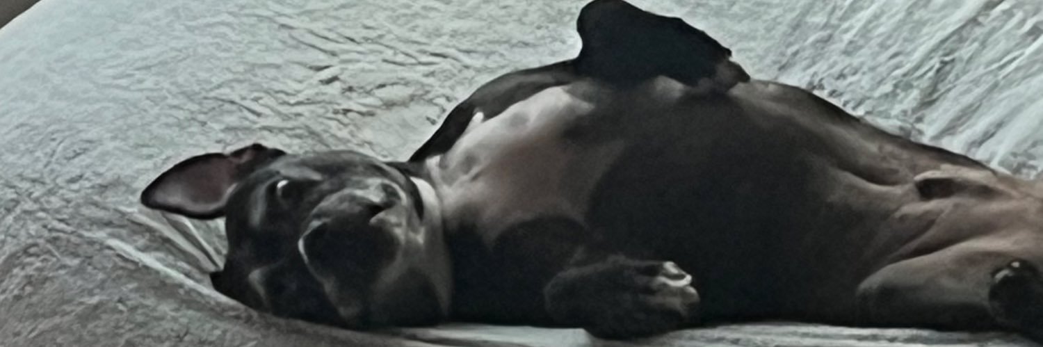 DoraGomm_'s profile banner image