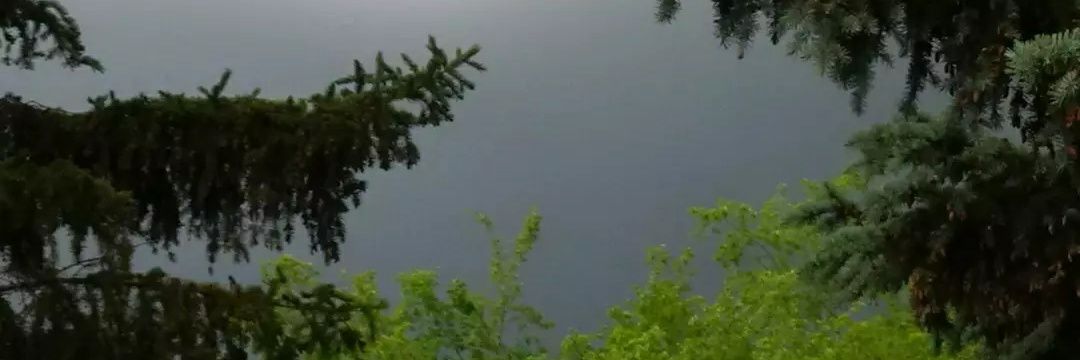 🐦‍⬛ audrey 🖤 banner