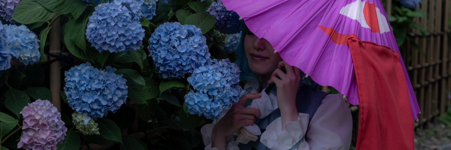 sr_daruma's profile banner image