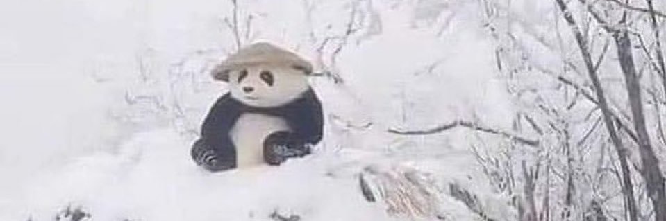 BigDemonFishy's profile banner image
