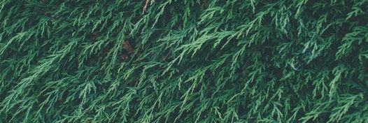 QueMaicon's profile banner image