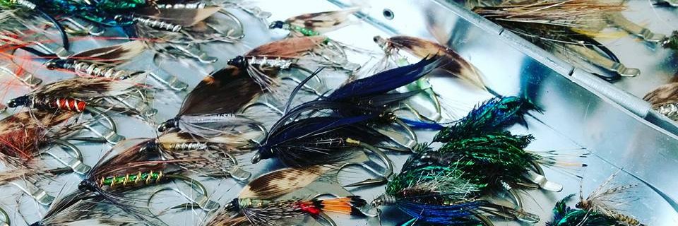 Naoyuki Fukumoto banner