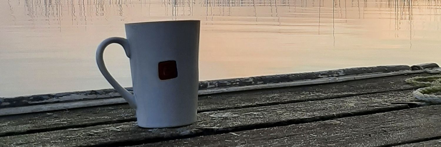 SwartzLesley's profile banner image