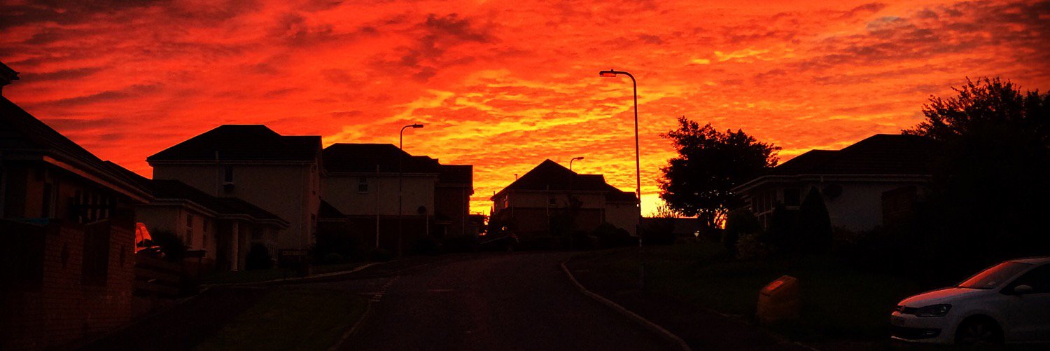 Scott Maynard banner