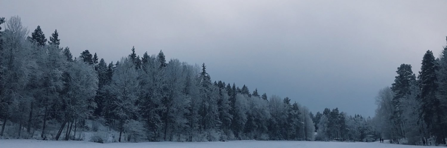 Mary Elmore DeMott banner