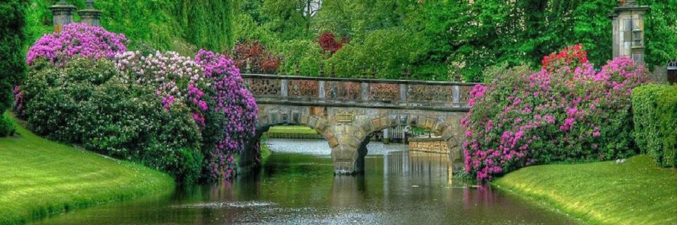 marga28391's profile banner image