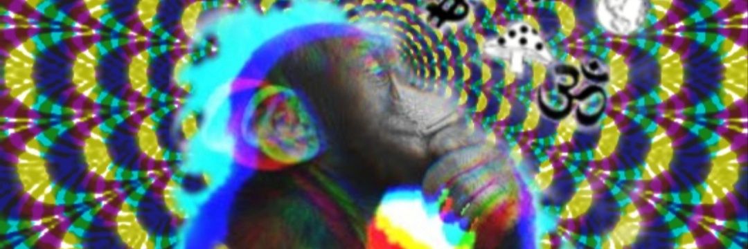 taylorlaj's profile banner image