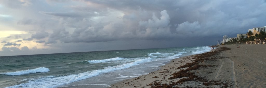 middleton_white's profile banner image
