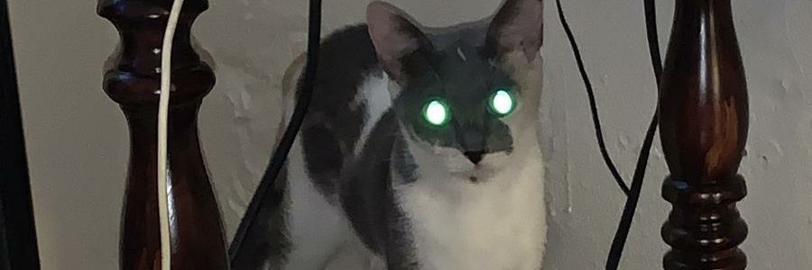 _MCoast's profile banner image