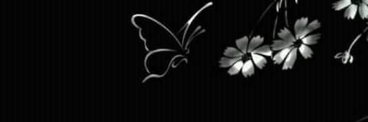 mgnon6s's profile banner image