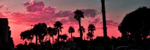 madisonasham__'s profile banner image