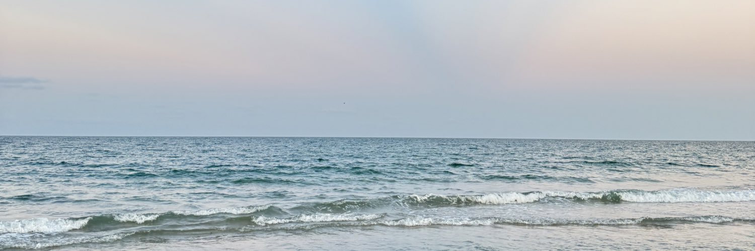 sigridmichelm's profile banner image