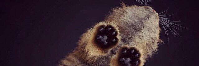 varvarai's profile banner image