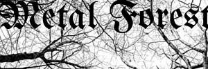 MetalForestDsgn's profile banner image