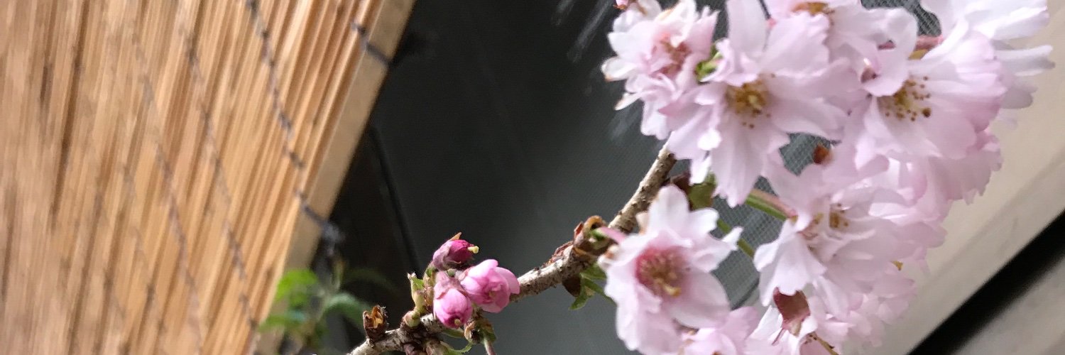 rasi106's profile banner image