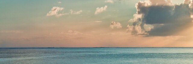 PamelaRuzzo's profile banner image