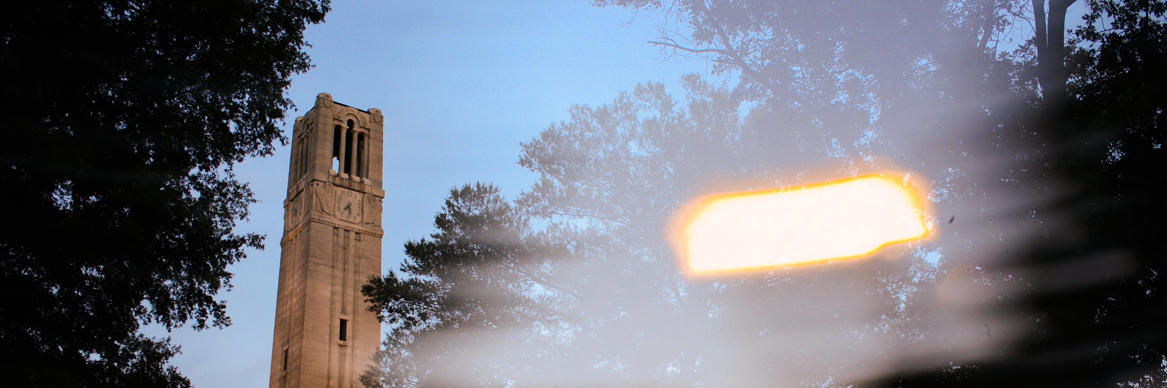 maryanndanowitz's profile banner image