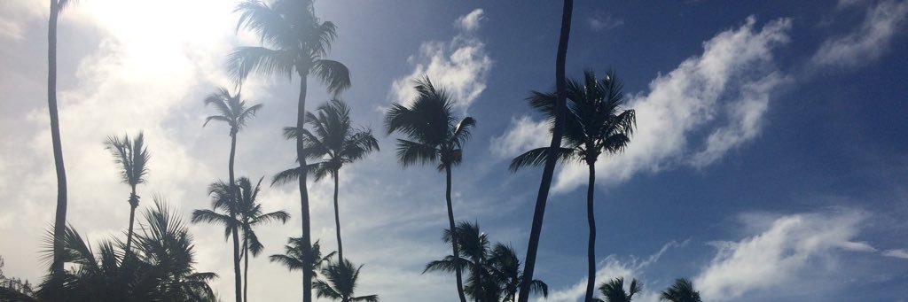 DanielWillabee's profile banner image
