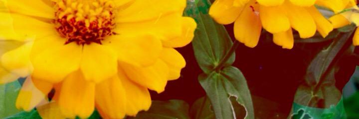 emafwz's profile banner image