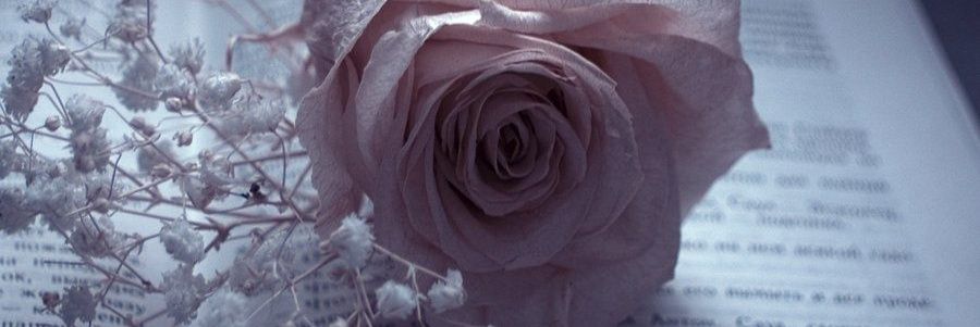 Dubium_initium's profile banner image