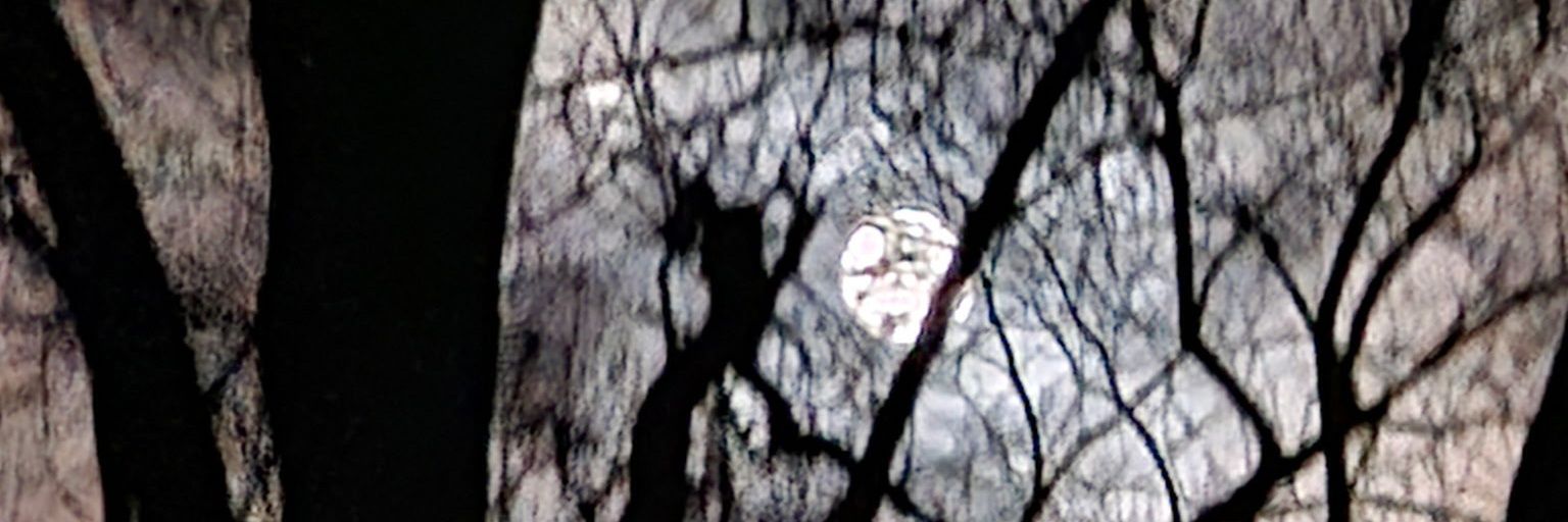 Shadow Abbott 影 banner