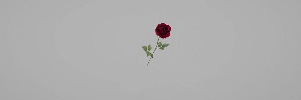maykelyves's profile banner image