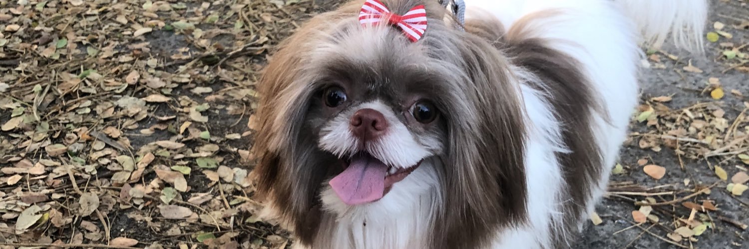 insmarie_'s profile banner image