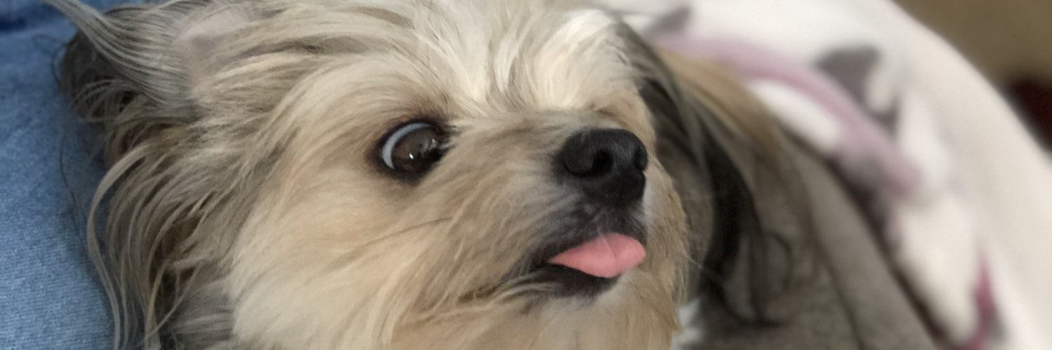 SpanishNutz's profile banner image