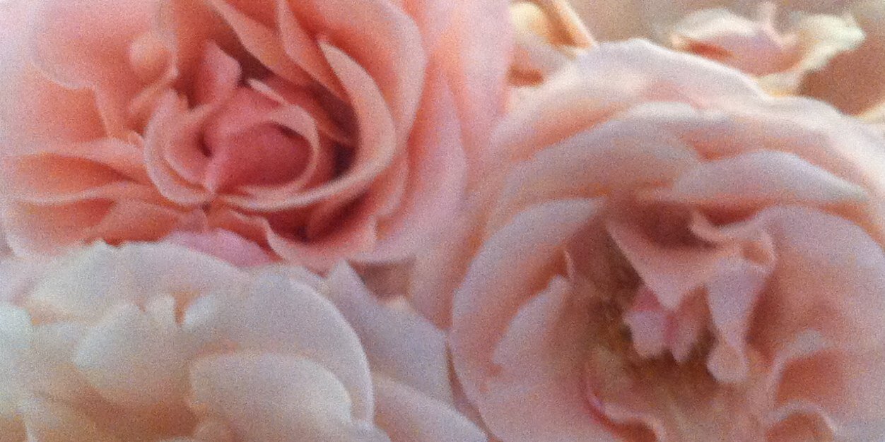 Abaybayy's profile banner image