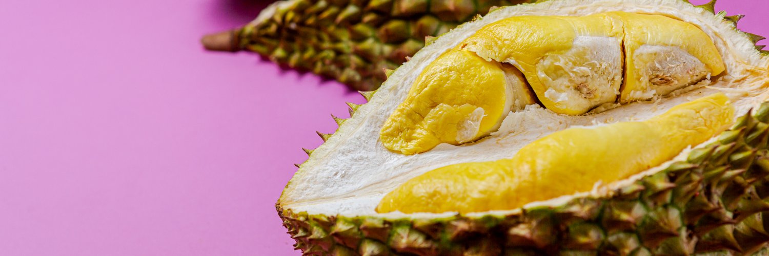 Paul Christiansen banner